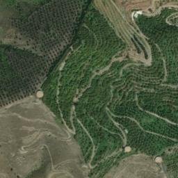 Satellite imagery of survey_point, DZ