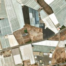 Satellite imagery of survey_point, DZ