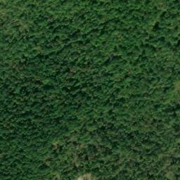 Satellite imagery of Coopersville Ridge, US