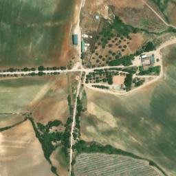 Satellite imagery of survey_point, DZ