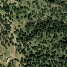 Satellite imagery of survey_point, DZ