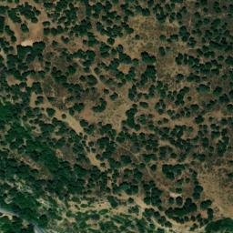 Satellite imagery of survey_point, DZ