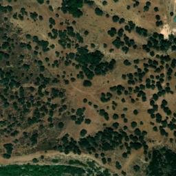 Satellite imagery of survey_point, DZ