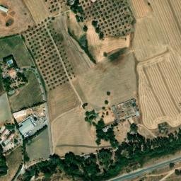 Satellite imagery of survey_point, DZ