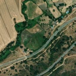 Satellite imagery of survey_point, DZ