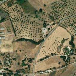 Satellite imagery of survey_point, DZ