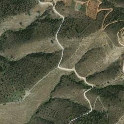 Satellite imagery of survey_point, DZ