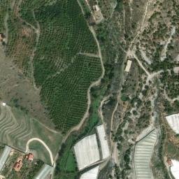 Satellite imagery of survey_point, DZ