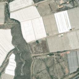 Satellite imagery of survey_point, DZ