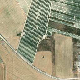 Satellite imagery of survey_point, DZ