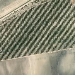Satellite imagery of survey_point, ES