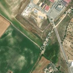 Satellite imagery of survey_point, DZ