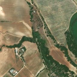 Satellite imagery of survey_point, DZ