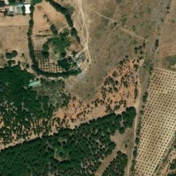 Satellite imagery of survey_point, DZ