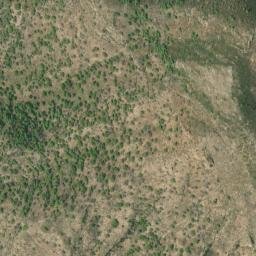 Satellite imagery of survey_point, DZ