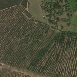Satellite imagery of Koudiat Mechta Ahmed, DZ