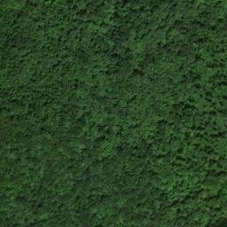 Satellite imagery of Turkey Ridge, US