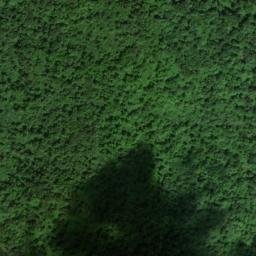 Satellite imagery of Turkey Ridge, US