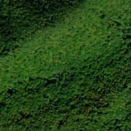 Satellite imagery of Leading Ridge, US