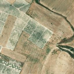 Satellite imagery of survey_point, DZ