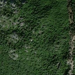 Satellite imagery of survey_point, DZ