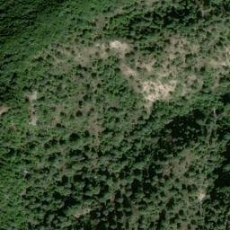 Satellite imagery of survey_point, DZ
