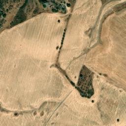 Satellite imagery of survey_point, DZ