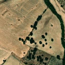 Satellite imagery of survey_point, DZ