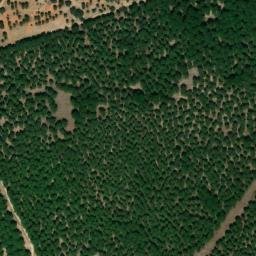 Satellite imagery of survey_point, DZ