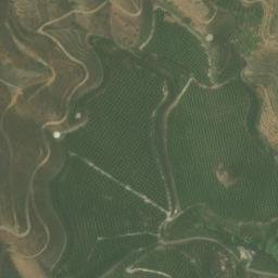 Satellite imagery of survey_point, DZ