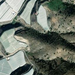 Satellite imagery of survey_point, DZ