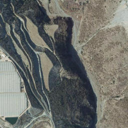 Satellite imagery of survey_point, DZ