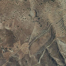 Satellite imagery of survey_point, DZ