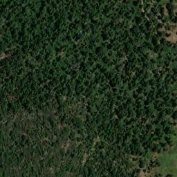 Satellite imagery of McKenzie Ridge, US