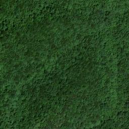 Satellite imagery of Wolf Ridge, US