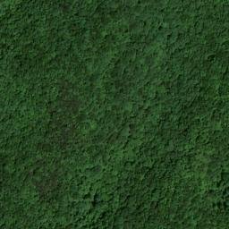 Satellite imagery of Wolf Ridge, US