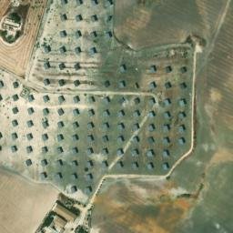 Satellite imagery of survey_point, DZ