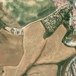 Satellite imagery of survey_point, DZ