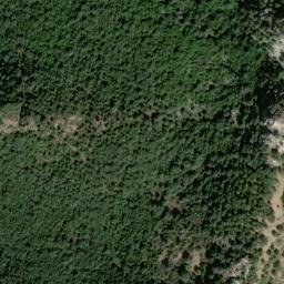 Satellite imagery of survey_point, DZ