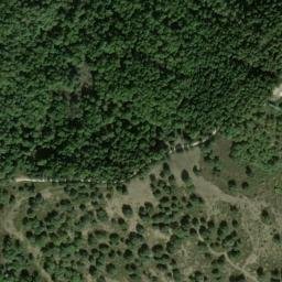 Satellite imagery of survey_point, DZ