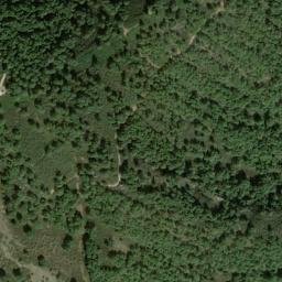 Satellite imagery of survey_point, DZ