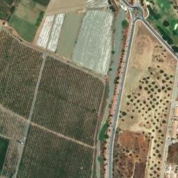 Satellite imagery of survey_point, DZ