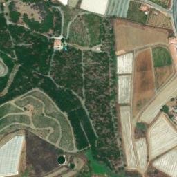 Satellite imagery of survey_point, DZ