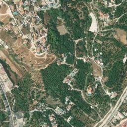 Satellite imagery of survey_point, DZ