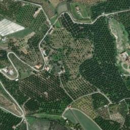 Satellite imagery of survey_point, DZ