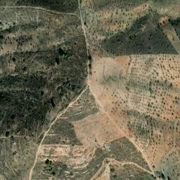 Satellite imagery of survey_point, DZ