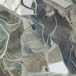 Satellite imagery of survey_point, DZ
