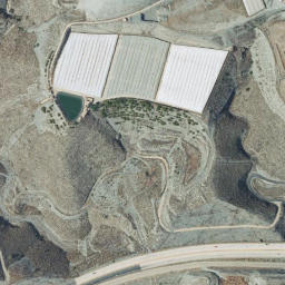 Satellite imagery of survey_point, DZ