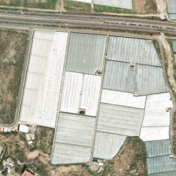 Satellite imagery of survey_point, DZ