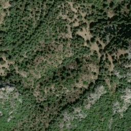 Satellite imagery of survey_point, DZ